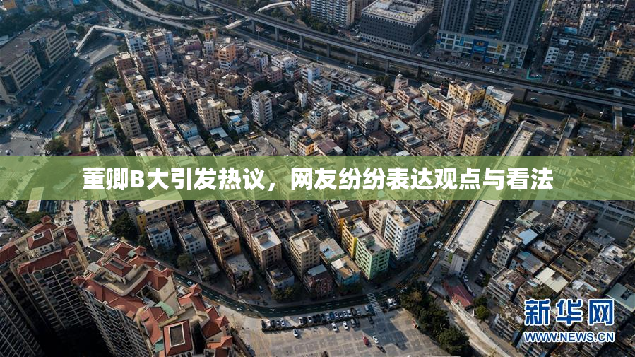 董卿B大引发热议，网友纷纷表达观点与看法
