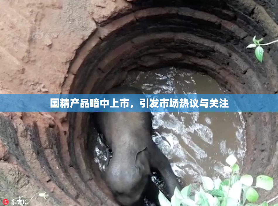 国精产品暗中上市，引发市场热议与关注