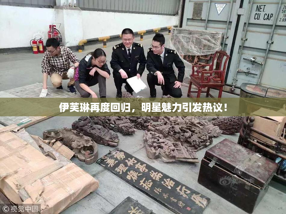 伊芙琳再度回归，明星魅力引发热议！