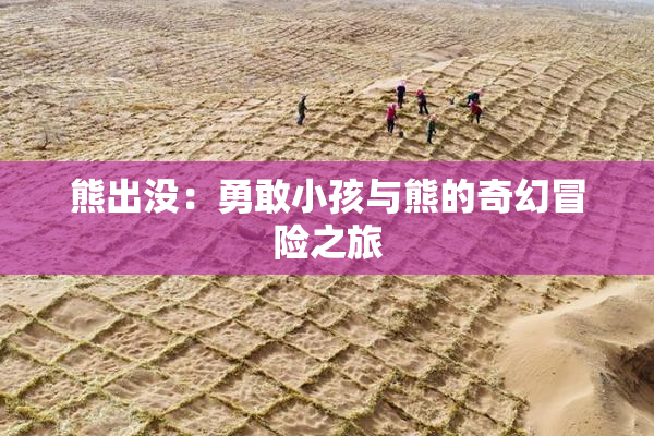 熊出没：勇敢小孩与熊的奇幻冒险之旅