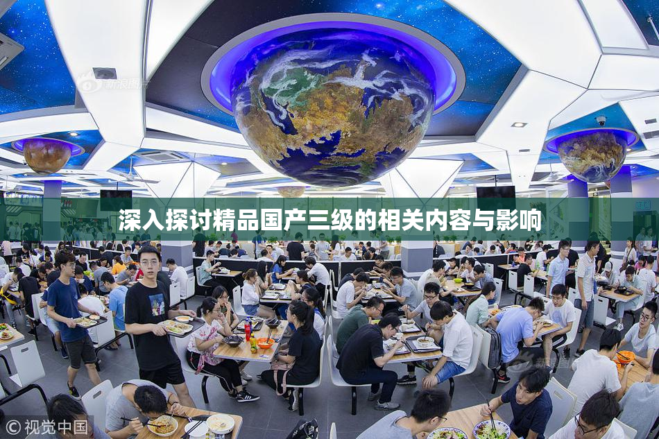 深入探讨精品国产三级的相关内容与影响