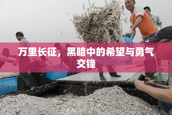 万里长征，黑暗中的希望与勇气交锋