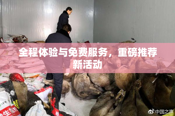 全程体验与免费服务，重磅推荐新活动