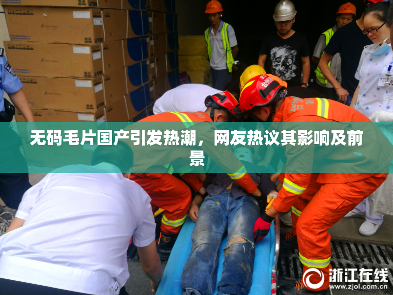 无码毛片国产引发热潮，网友热议其影响及前景