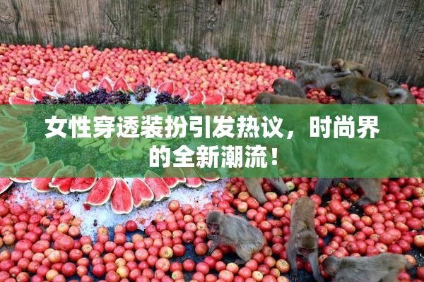 女性穿透装扮引发热议，时尚界的全新潮流！