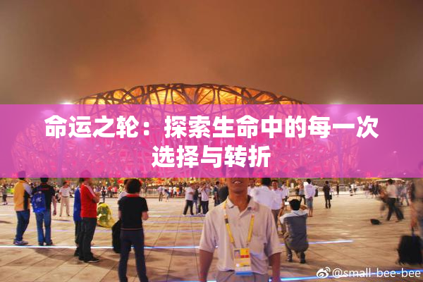 命运之轮：探索生命中的每一次选择与转折