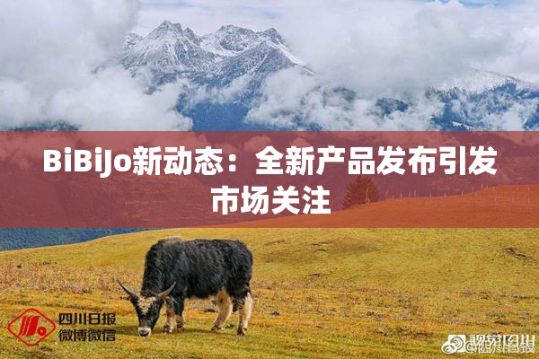 BiBiJo新动态：全新产品发布引发市场关注
