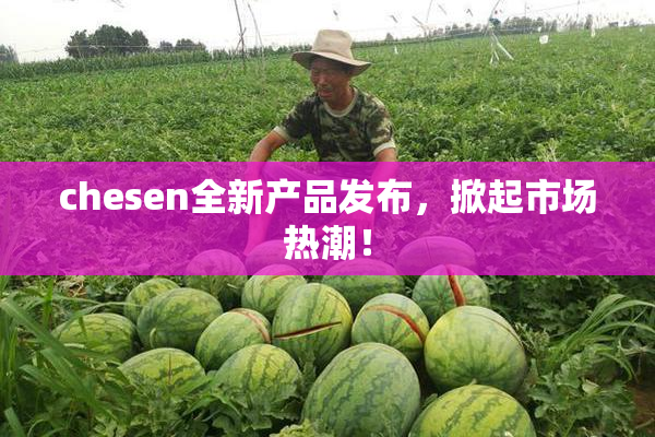 chesen全新产品发布，掀起市场热潮！
