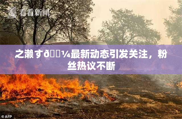 之濑す🌼最新动态引发关注，粉丝热议不断