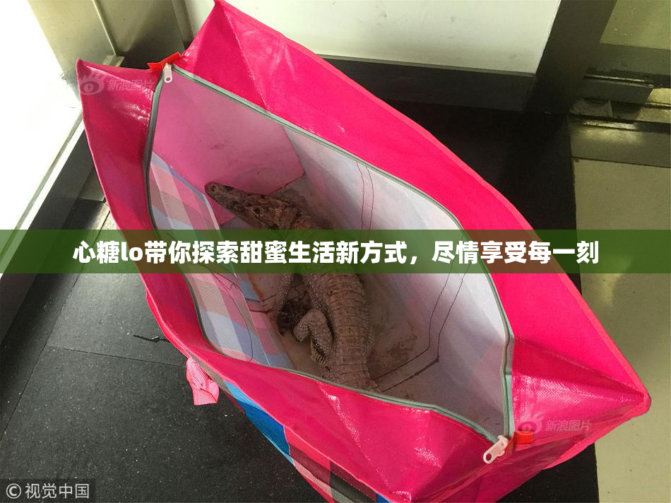 心糖lo带你探索甜蜜生活新方式，尽情享受每一刻
