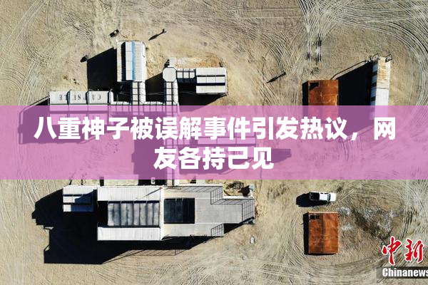 八重神子被误解事件引发热议，网友各持己见