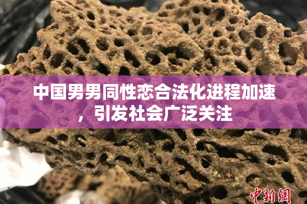 中国男男同性恋合法化进程加速，引发社会广泛关注