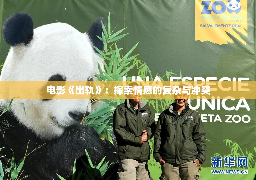 电影《出轨》：探索情感的复杂与冲突