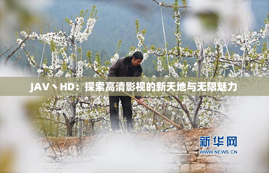 JAV丶HD：探索高清影视的新天地与无限魅力