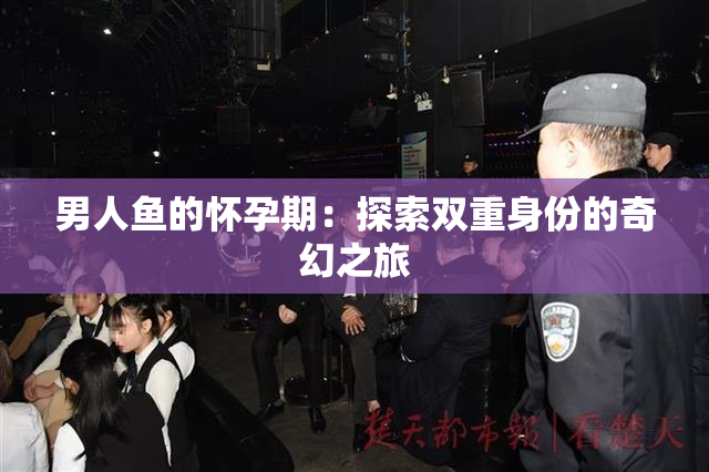 男人鱼的怀孕期：探索双重身份的奇幻之旅