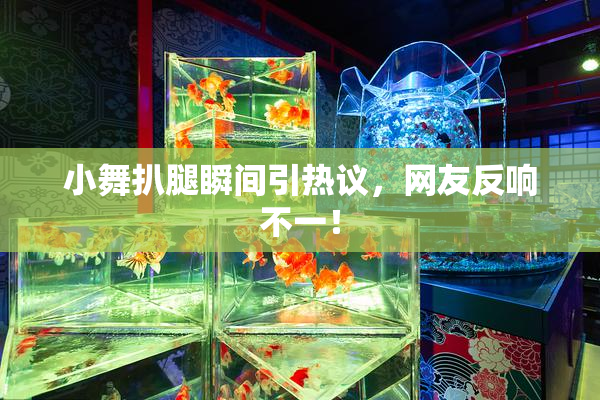 小舞扒腿瞬间引热议，网友反响不一！