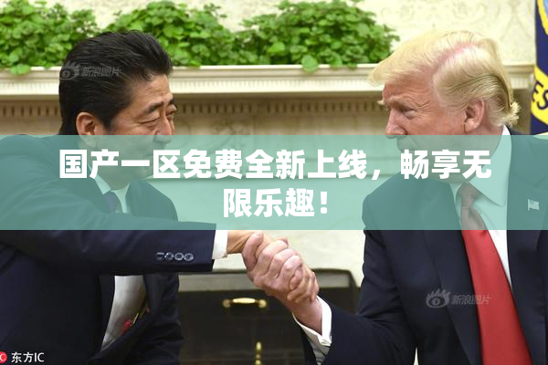 国产一区免费全新上线，畅享无限乐趣！