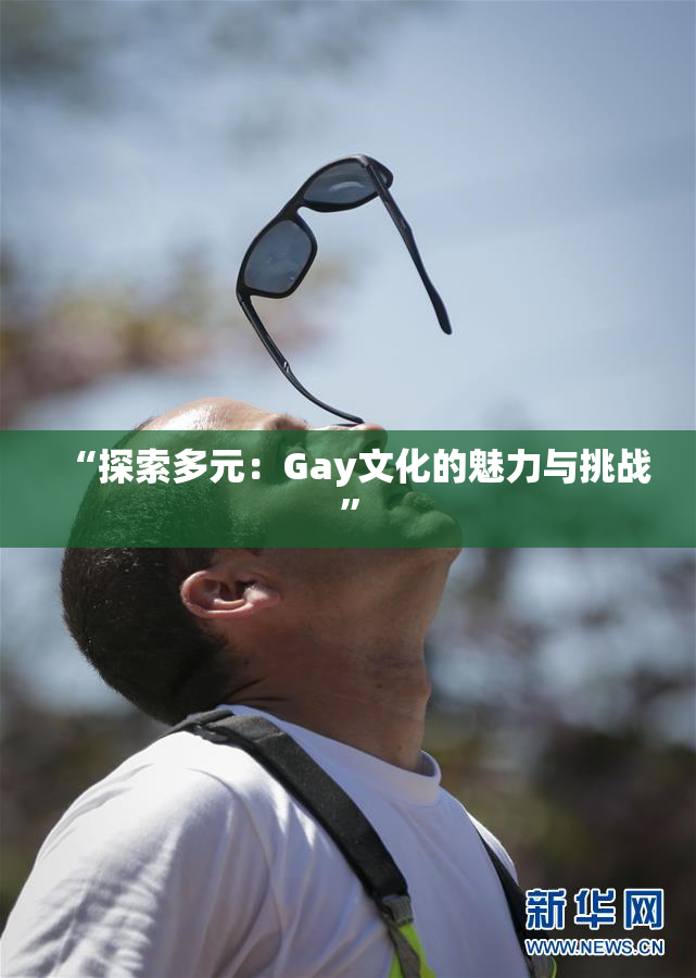 “探索多元：Gay文化的魅力与挑战”