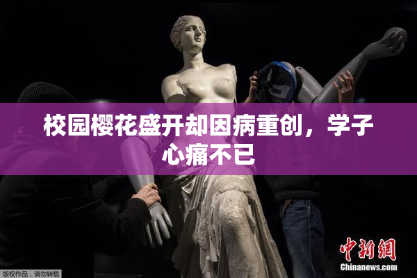 校园樱花盛开却因病重创，学子心痛不已