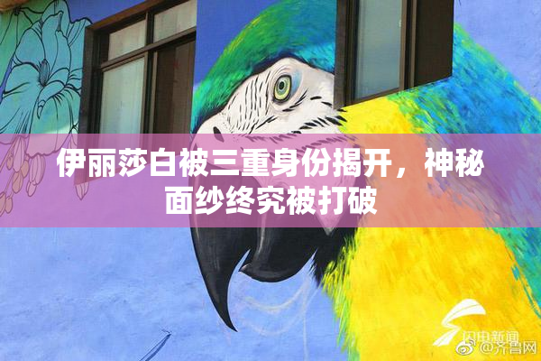 伊丽莎白被三重身份揭开，神秘面纱终究被打破