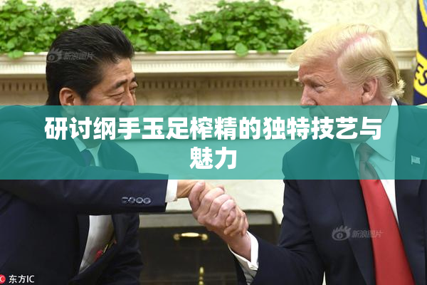 研讨纲手玉足榨精的独特技艺与魅力