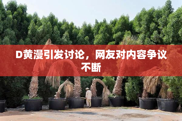 D黄漫引发讨论，网友对内容争议不断