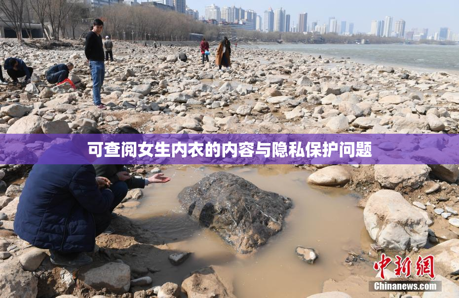 可查阅女生内衣的内容与隐私保护问题