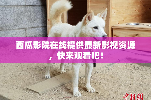 西瓜影院在线提供最新影视资源，快来观看吧！