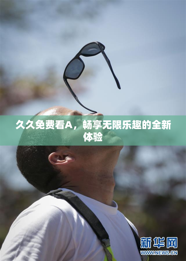 久久免费看A，畅享无限乐趣的全新体验