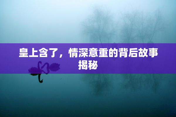 皇上含了，情深意重的背后故事揭秘