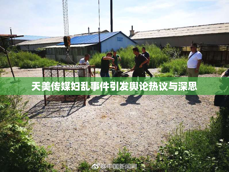 天美传媒妇乱事件引发舆论热议与深思