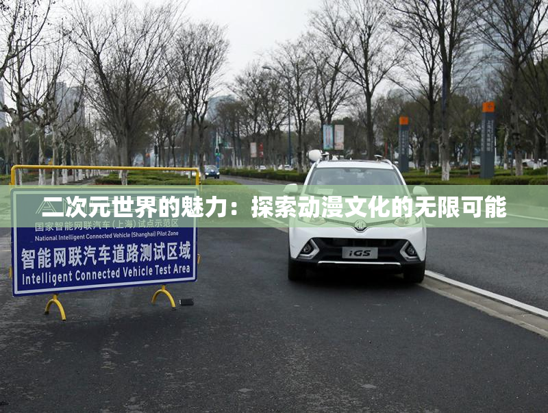 二次元世界的魅力：探索动漫文化的无限可能