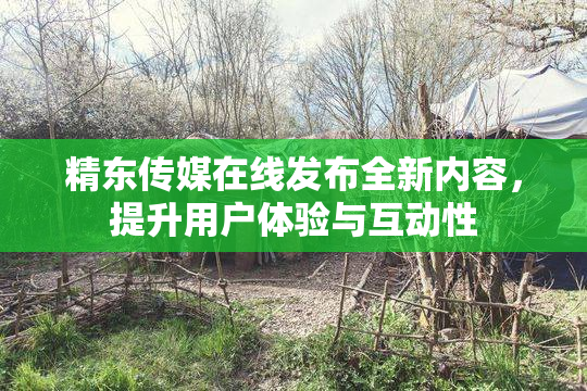 精东传媒在线发布全新内容，提升用户体验与互动性