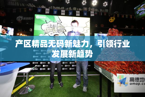 产区精品无码新魅力，引领行业发展新趋势