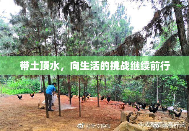 带土顶水，向生活的挑战继续前行