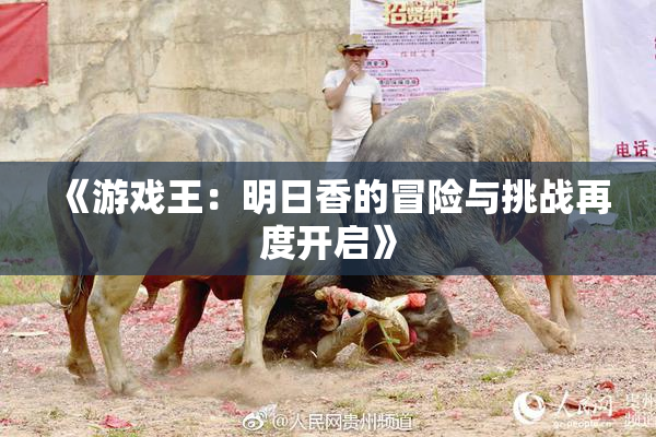 《游戏王：明日香的冒险与挑战再度开启》