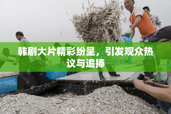 韩剧大片精彩纷呈，引发观众热议与追捧