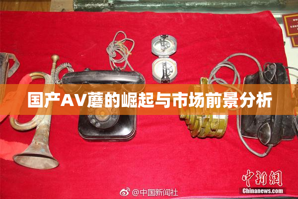 国产AV蘑的崛起与市场前景分析