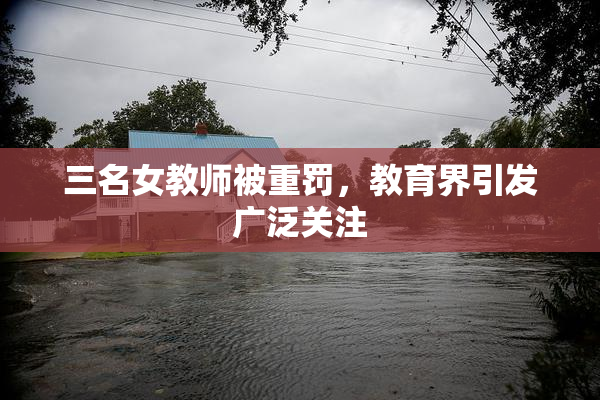 三名女教师被重罚，教育界引发广泛关注
