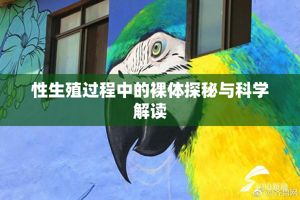 性生殖过程中的裸体探秘与科学解读