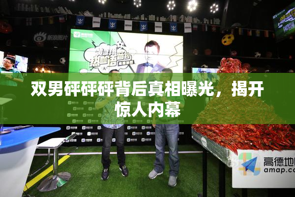 双男砰砰砰背后真相曝光，揭开惊人内幕