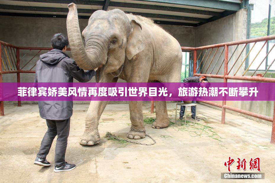菲律宾娇美风情再度吸引世界目光，旅游热潮不断攀升
