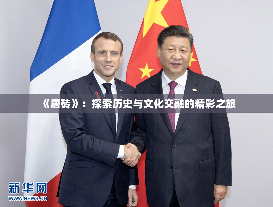 《唐砖》：探索历史与文化交融的精彩之旅