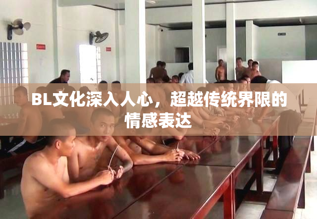 BL文化深入人心，超越传统界限的情感表达
