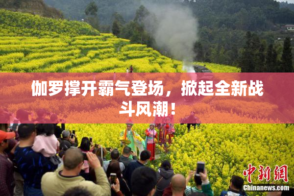 伽罗撑开霸气登场，掀起全新战斗风潮！