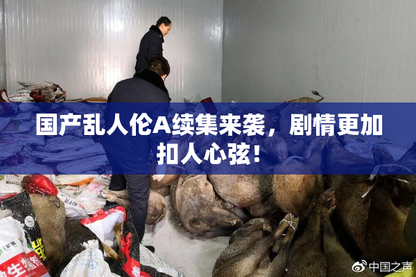 国产乱人伦A续集来袭，剧情更加扣人心弦！