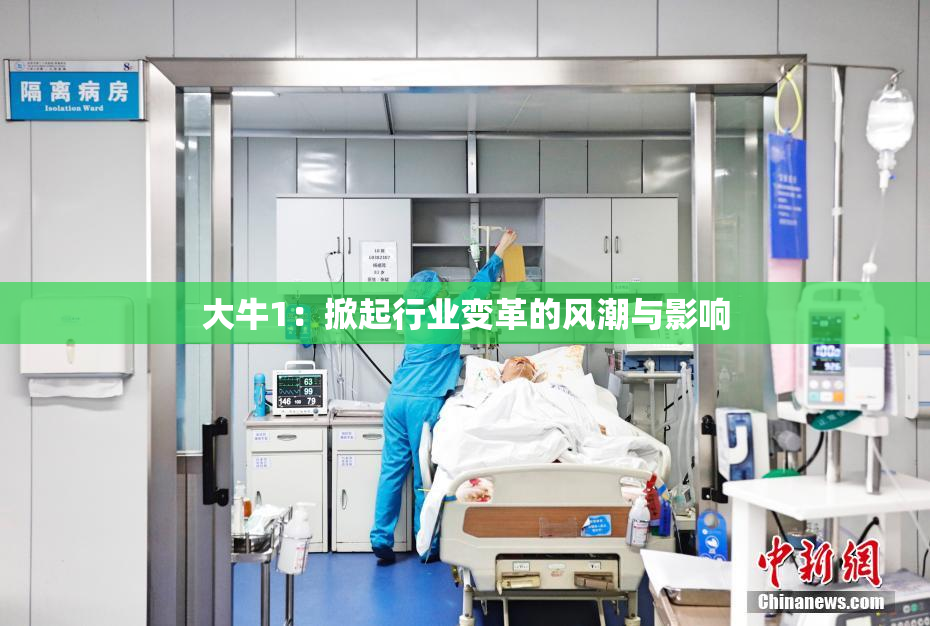 大牛1：掀起行业变革的风潮与影响