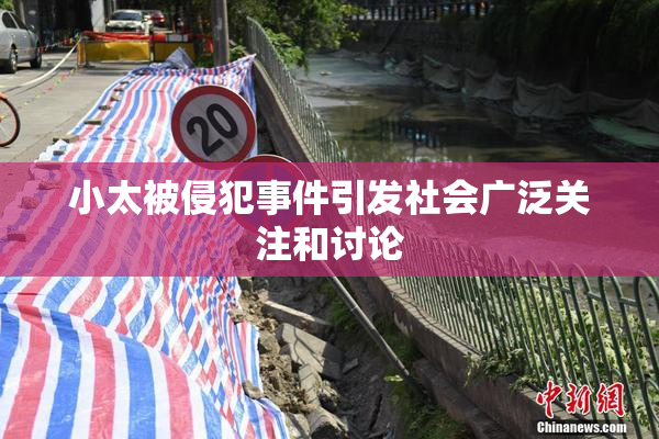 小太被侵犯事件引发社会广泛关注和讨论