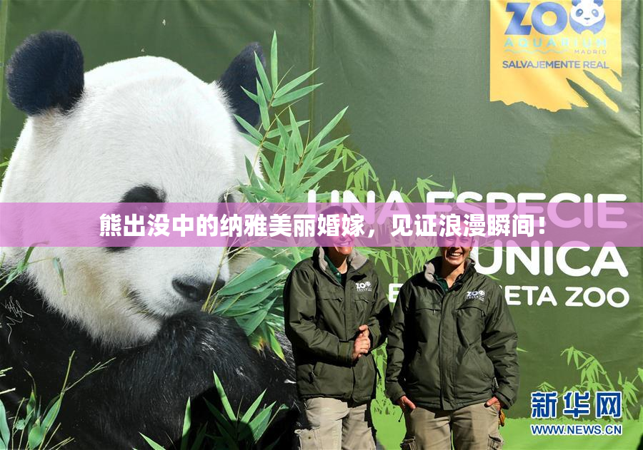 熊出没中的纳雅美丽婚嫁，见证浪漫瞬间！