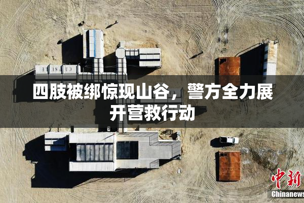 四肢被绑惊现山谷，警方全力展开营救行动